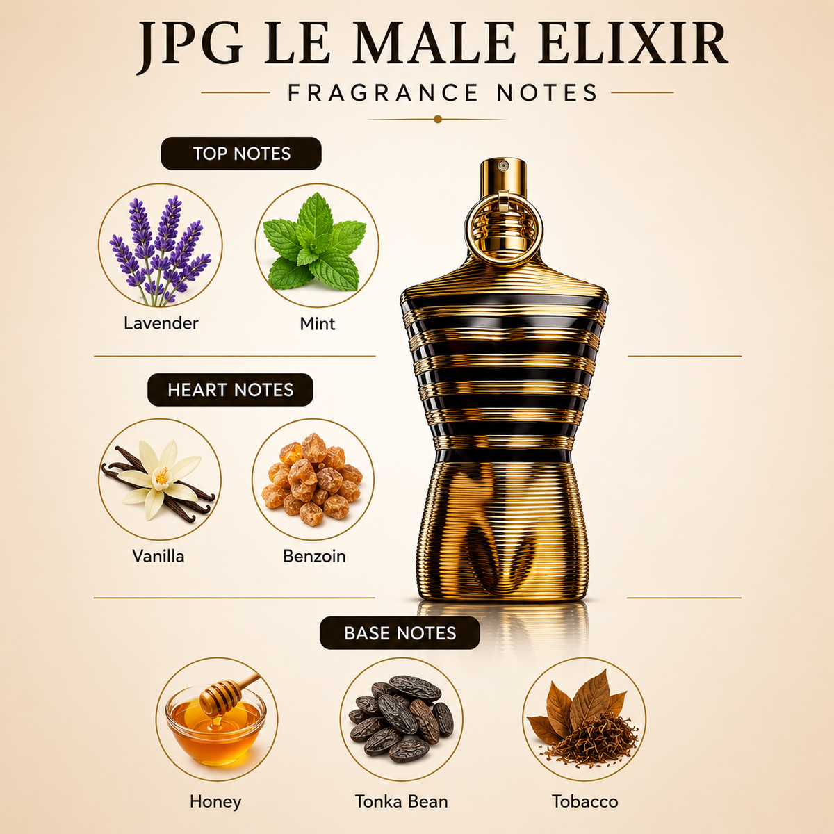 Le Male By Myjsperfumes (Inspire By JPG Le Male Elixir).